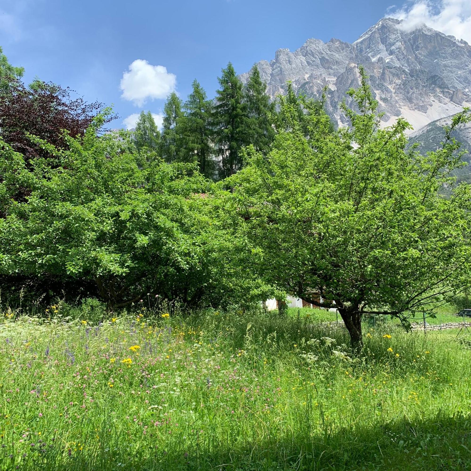 Piccolo Gioiello Di Montagna Apartamento Villanova  Exterior foto